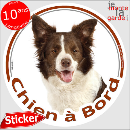 Border Collie marron chocolat et blanc, sticker autocollant rond "Chien à Bord" Disque adhésif vitre voiture auto photo brun, ré
