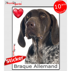 "I Love Braque Allemand marron" photo autocollante, Sticker adhésif race braque DE brun foie chocolat