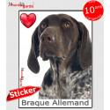 "I love Braque Allemand" photo autocollante 16 cm C