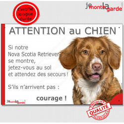 Nova Scotia Retriever, plaque portail humour "Attention au Chien, Jetez Vous au Sol, courage" pancarte photo drôle panneau