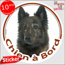 Berger Hollandais bringé poils longs Tête, sticker autocollant rond "Chien à Bord" Disque photo adhésif voiture auto vitre