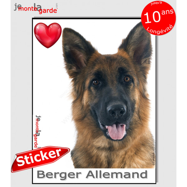 "I Love Berger Allemand noir et feu à poils mi-longs" photo autocollante, Sticker adhésif race