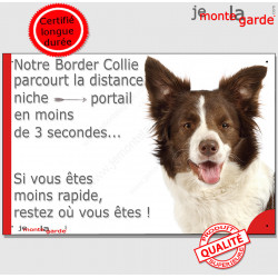 Border Collie, plaque humour "distance Niche - Portail" 24 cm 3SEC