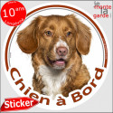 Nova Scotia Retriever, sticker rond "Chien à Bord" 14 cm