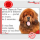 Dogue du Tibet fauve rouge, plaque humour "parcourt distance Niche-Portail moins 3 secondes, rapide" pancarte photo attention 