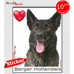 "I Love Berger Hollandais bringé à poils courts" photo autocollante, Sticker adhésif race