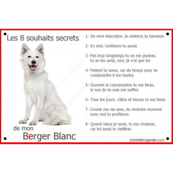 Berger Blanc Assis, Plaque "Les 8 Souhaits Secrets" pancarte photo affiche panneau, commandements éducation cadre