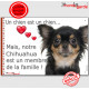 Chihuahua noir et feu poils longs, plaque "Un chien est Membre de la Famille" photo panneau idée cadeau cadre pancarte affiche