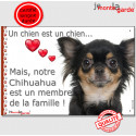 Chihuahua, plaque "Membre de la Famille" 24 cm LOVE