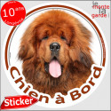 Dogue du Tibet, sticker voiture "Chien à Bord" 14 cm