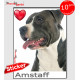 "I Love American Staffordshire Terrier noir et blanc" photo autocollante, Sticker adhésif race Amstaff Staff