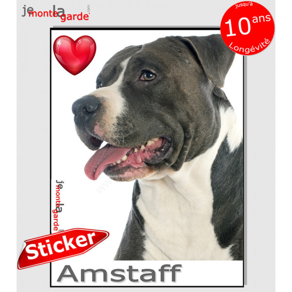 "I Love American Staffordshire Terrier noir et blanc" photo autocollante, Sticker adhésif race Amstaff Staff