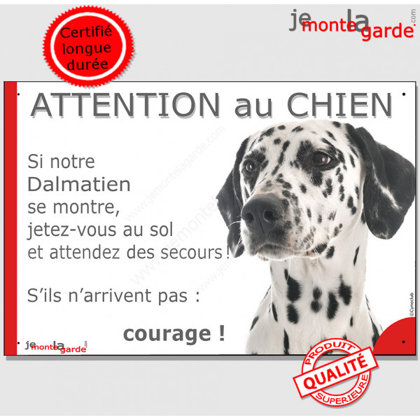 Dalmatien tête, plaque portail humour "Attention au Chien, Jetez Vous au Sol" pancarte photo panneau drôle