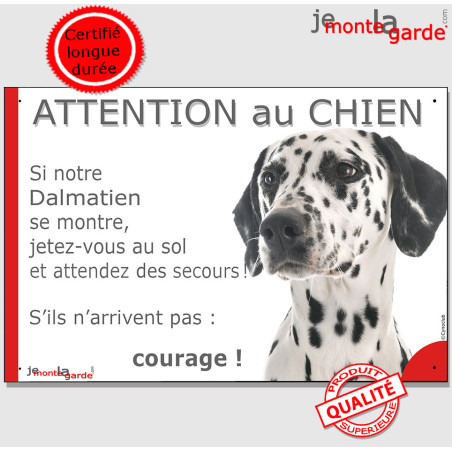 Dalmatien tête, plaque portail  humour "Attention au Chien, Jetez Vous au Sol" photo, résiste dehors