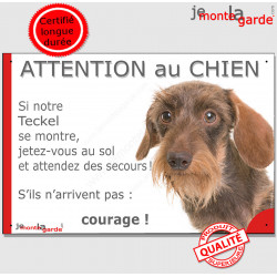 Teckel poils durs fauve, plaque portail humour "Attention au chien, Jetez Vous au Sol, courage" pancarte drôle panneau photo