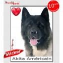 "I love Akita Américain" photo autocollante 16 cm C