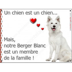 Berger Blanc Assis, Plaque "un chien est membre de la famille" pancarte, affiche panneau photo idée cadeau cadre