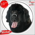 Terre Neuve noir, sticker rond "photo" 14 cm, résiste Pluie Soleil Gel