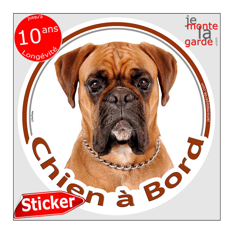 Sticker rond Chien à Bord avec portrait de Boxer fauve, masque noir bien marqué, regard intense et expression sérieuse.