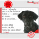 Labrador noir, plaque humour "parcourt distance Niche-Portail moins 3 secondes, rapide" pancarte photo attention au chien