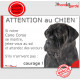 Cane Corso Noir Tête, Panneau humour "Attention au Chien, se montre, jetez-vous sol, attendez secours, courage" plaque photo