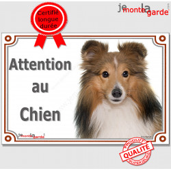 Berger Shetland Fauve, plaque portail "Attention au Chien" pancarte panneau Sheltie marron photo