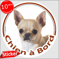 Chihuahua beige crème sable fauve poils courts, sticker autocollant rond "Chien à Bord" Disque photo adhésif vitre voiture