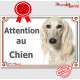 Lévrier Saluki blanc, plaque portail "Attention au Chien" pancarte panneau photo