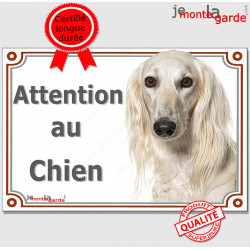 Lévrier Saluki blanc, plaque portail "Attention au Chien" pancarte panneau photo