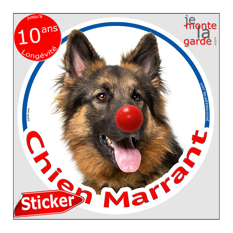 Berger Allemand noir feu poil long, sticker autocollant rond "Chien Marrant" Disque adhésif vitre voiture photo amusant humour Berger Allemand noir feu poil long, sticker autocollant rond "Chien Marrant" Disque adhésif vitre voiture photo amusant humour