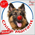 Berger Allemand, sticker rond "Chien Marrant" 14 cm