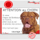 Dogue de Bordeaux fauve acajou à masque face rouge tête, plaque humour "Jetez Vous au Sol, Attention au Chien" pancarte panneau