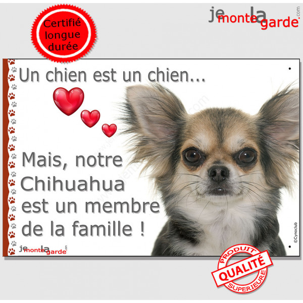 Chihuahua tricolore poils longs, plaque "Un chien est Membre de la Famille" photo panneau idée cadeau cadre pancarte affiche