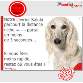 Lévrier Saluki Persan tout blanc, plaque humour "parcourt la distance Niche-Portail en moins de 3 secondes, rapide" photo, résis