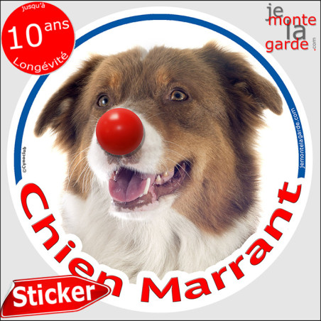 Berger Australien tricolore rouge, sticker rond photo "Chien Marrant" résiste pluie soleil gel, idée cadeau, 2 Tailles D