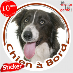 Border Collie brun, sticker "Chien à Bord" 14 cm