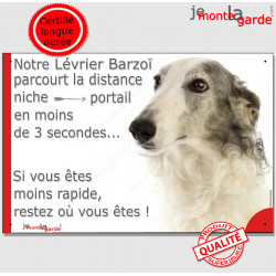 Barzoï, plaque humour "distance Niche-Portail" 24 cm 3S
