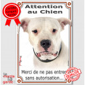 Dogue Argentin, plaque verticale "Attention au Chien" 24 cm VL