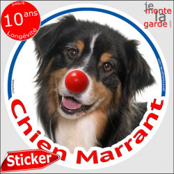 Berger Australien, sticker rond "Chien Marrant" 14 cm