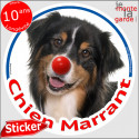 Berger Australien tricolore noir, sticker rond "Chien Marrant" 2 tailles D