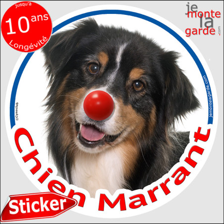 Berger Australien tricolore noir, sticker rond photo "Chien Marrant" résiste pluie soleil gel, idée cadeau, 2 tailles D Berger Australien tricolore noir, sticker rond photo "Chien Marrant" résiste pluie soleil gel, idée cadeau, 2 tailles D
