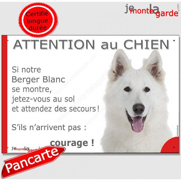 Berger Blanc Suisse, plaque portail humour "Attention au Chien, Jetez Vous au Sol, courage" pancarte panneau drôle photo