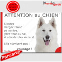 Berger Blanc Suisse, plaque humour "Attention au Chien, Jetez Vous au Sol" 2 tailles E