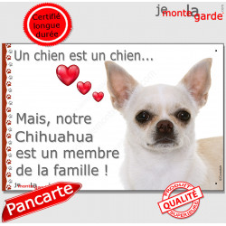 Chihuahua blanc beige à poils courts, plaque "Un chien est Membre de la Famille" photo panneau idée cadeau