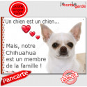 Chihuahua, plaque "Membre de la Famille" 24 cm LOVE