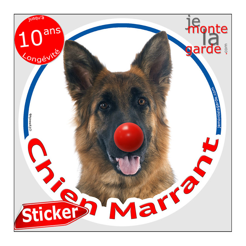 Berger Allemand noir feu poil mi-long, sticker autocollant rond "Chien Marrant" Disque adhésif vitre voiture photo amusant humou Berger Allemand noir feu poil mi-long, sticker autocollant rond "Chien Marrant" Disque adhésif vitre voiture photo amusant humou