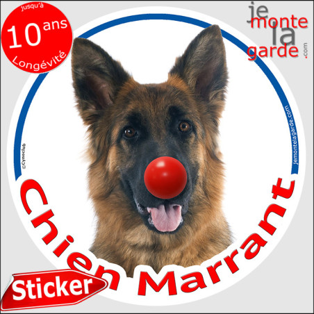 Berger Allemand à poils longs, sticker rond humour photo "Chien Marrant" résiste pluie soleil gel, idée cadeau, 2 Tailles D Berger Allemand à poils longs, sticker rond humour photo "Chien Marrant" résiste pluie soleil gel, idée cadeau, 2 Tailles D