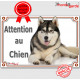 Alaskan Malamute plaque portail "Attention au Chien" pancarte panneau photo Malamut couché entier