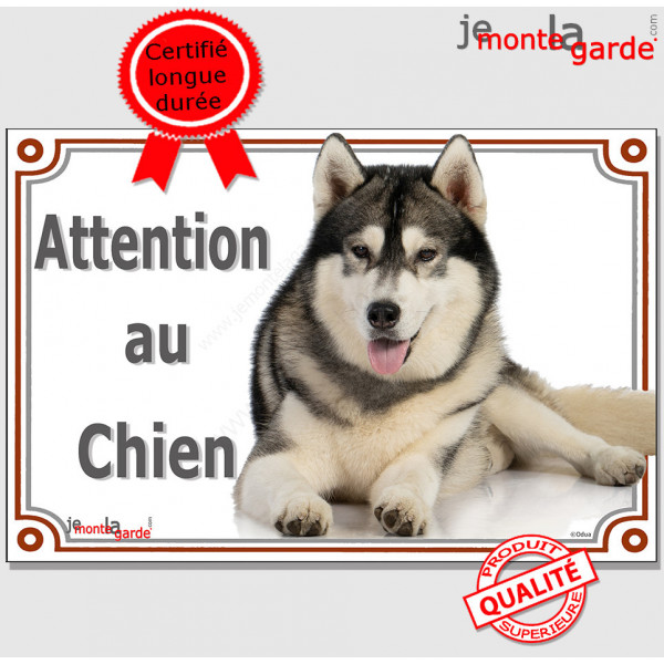 Alaskan Malamute plaque portail "Attention au Chien" pancarte panneau photo Malamut couché entier