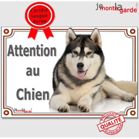 Alaskan Malamute, plaque portail "Attention au Chien" pancarte panneau photo Malamut couché entier